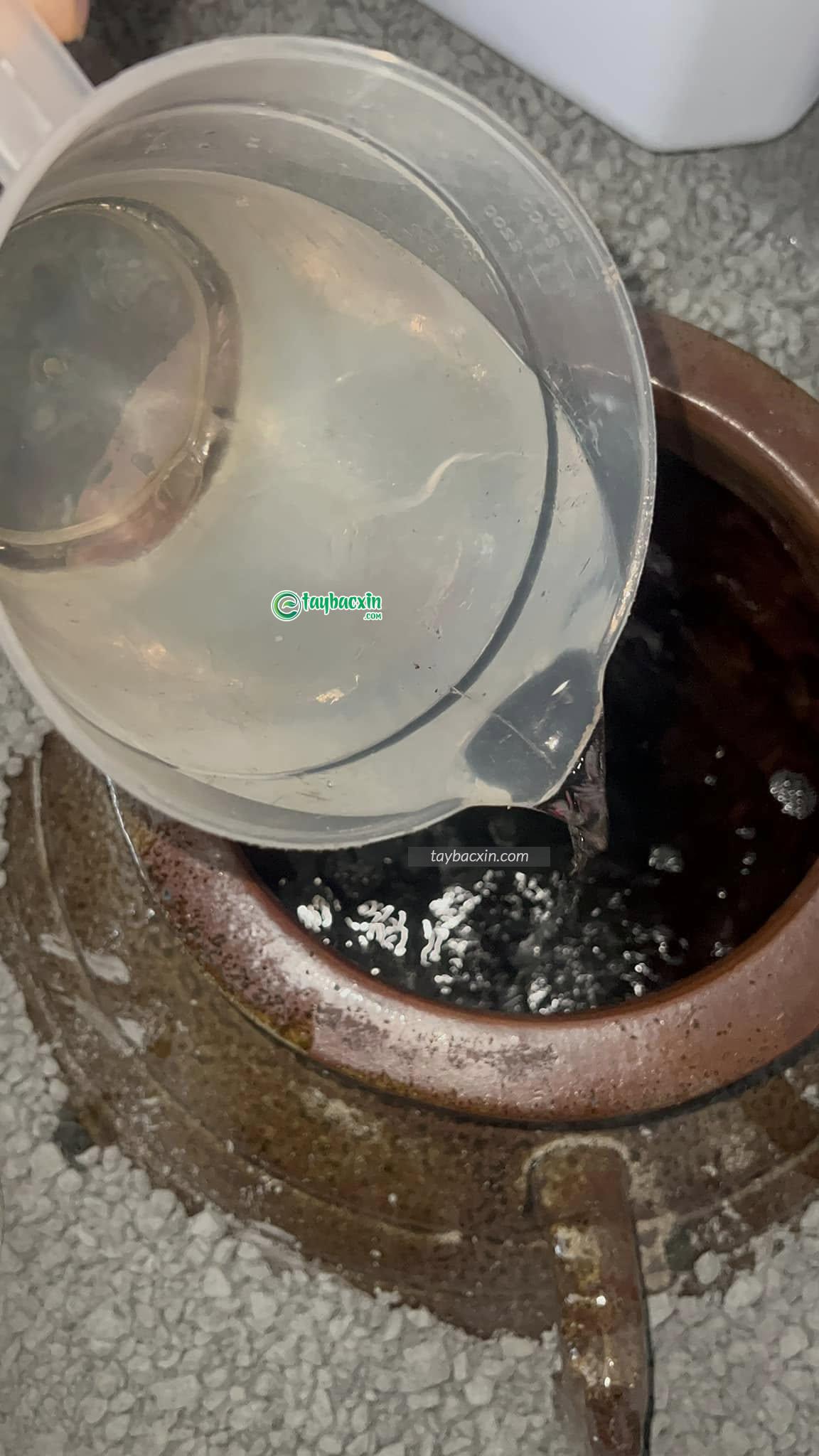 Rượu Ngô Men Lá Tại Hải Phòng