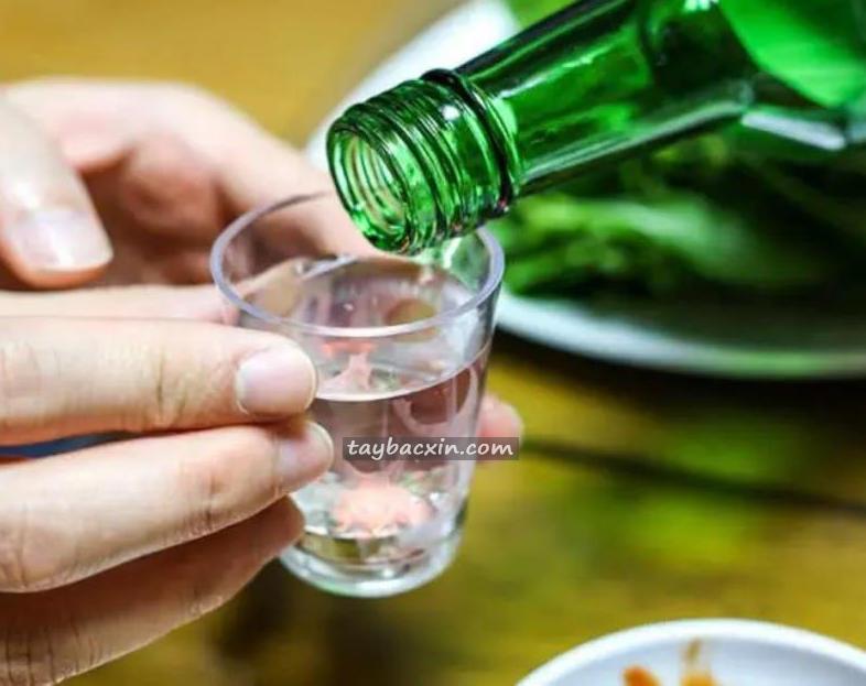 Cách nhậu không say giúp bạn “bất tử” trên bàn nhậu – Bí quyết giữ phong độ từ A đến Z