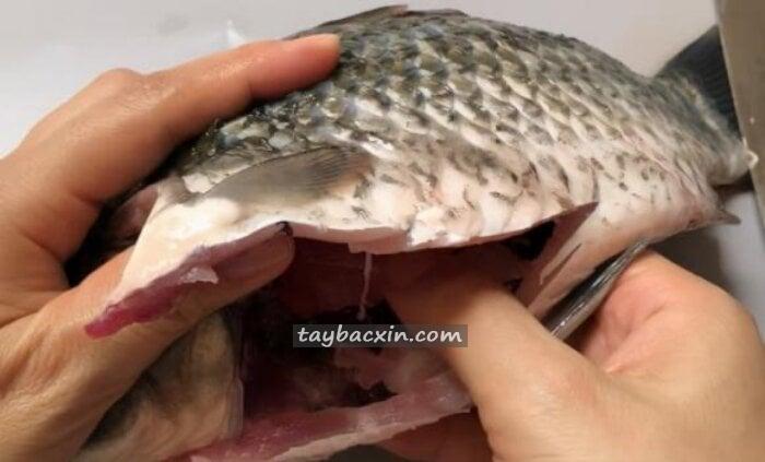 Loại bỏ màng đen trong bụng cá