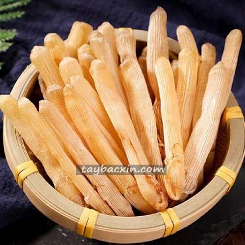 Sá Sùng Khô Vân Đồn